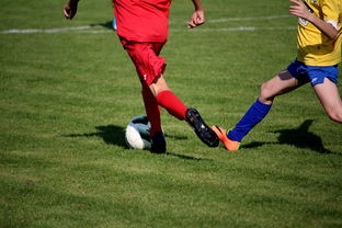 九游娱乐(jiuyou)官方网站-国家队与俱乐部之间协调机制为何不顺畅，国家队比赛和俱乐部比赛冲突